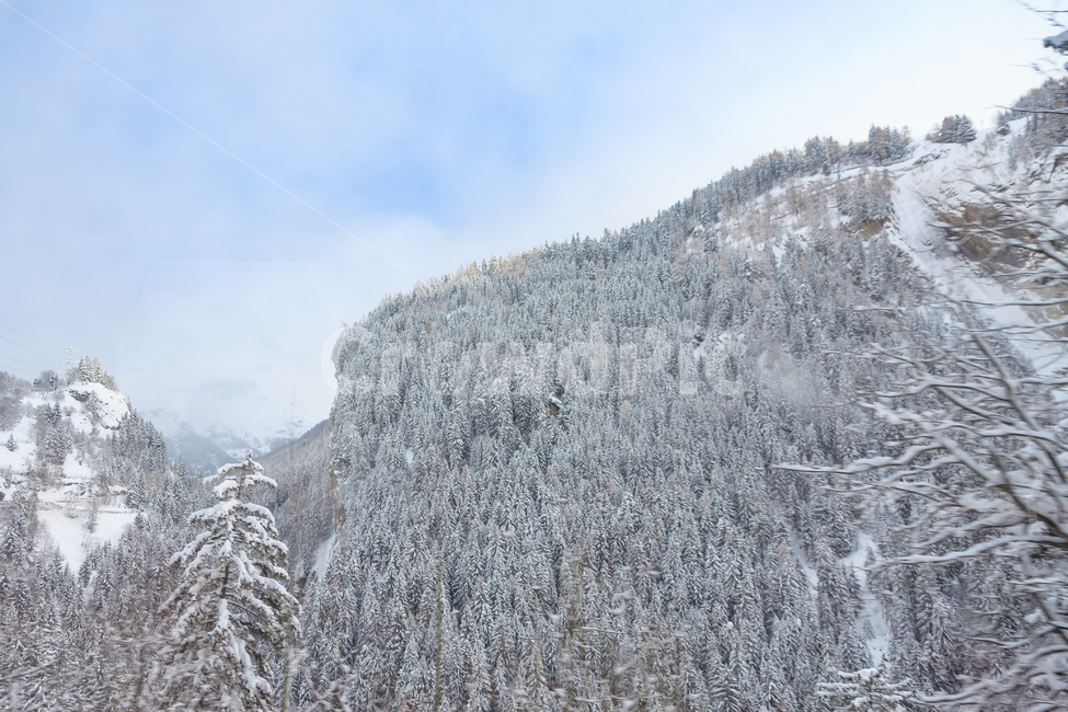 알프스산맥,스위스,겨울,눈,산,숲,구름,나무,겨울,계절,winter,season,자연,풍경,nature,landscape,해외,외국,세계,foreign,oversea,world,세계자연풍경,해외자연풍경,외국자연풍경,world nature landscape,tree,plant,식물,outdoors,옥외,ice,빙,abies,아비,fir,전나무