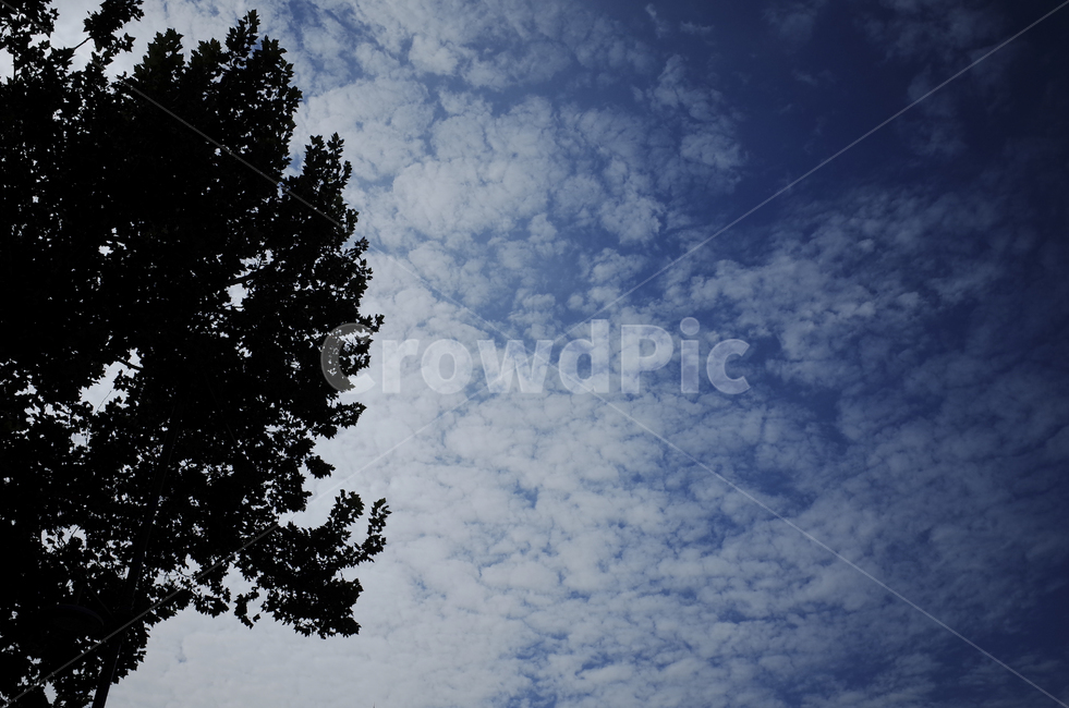 nature,자연,outdoors,weather,날씨,cumulus,적운,cloud,구름,sky,하늘,blue,파란,파랑,푸른,azuresky,bluesky,푸른하늘,파란하늘,silhouette,실루엣