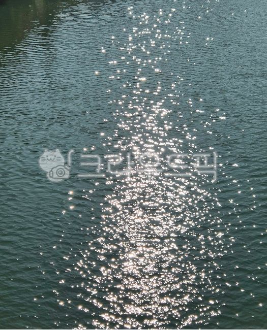 윤슬,울산,태화강공원,예쁜윤슬,강