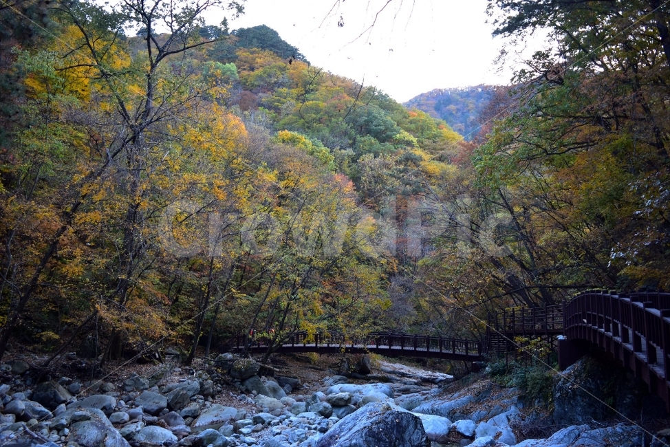설악산,가을,풍경,단풍,탐방,국립공원,파란하늘,가을색,오색,울긋불긋,알록달록,그림같은,칼라풀,뷰티플,아름다운,힐링,감성,자연,정취,산세,명산,100대명산,nature,산,등산,트레킹,비경,경치,사진,색채,가을의정취,가을,계절,fall,autumn,season,자연,풍경,nature,landscape,한국자연풍경,한국자연경관,korea nature landscape,water,물,outdoors,옥외