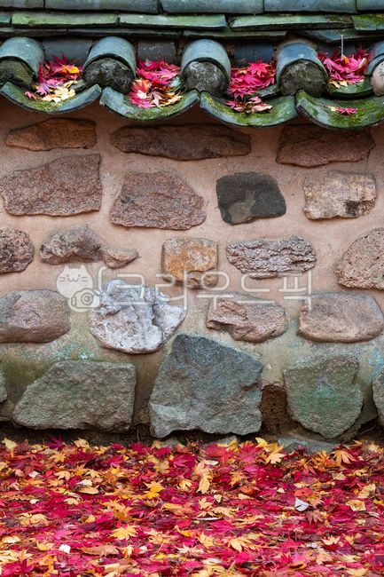 leaf,stone,fallen leaves,fallenleaves,tile,maple,stonewall,autumn,wall,Maple