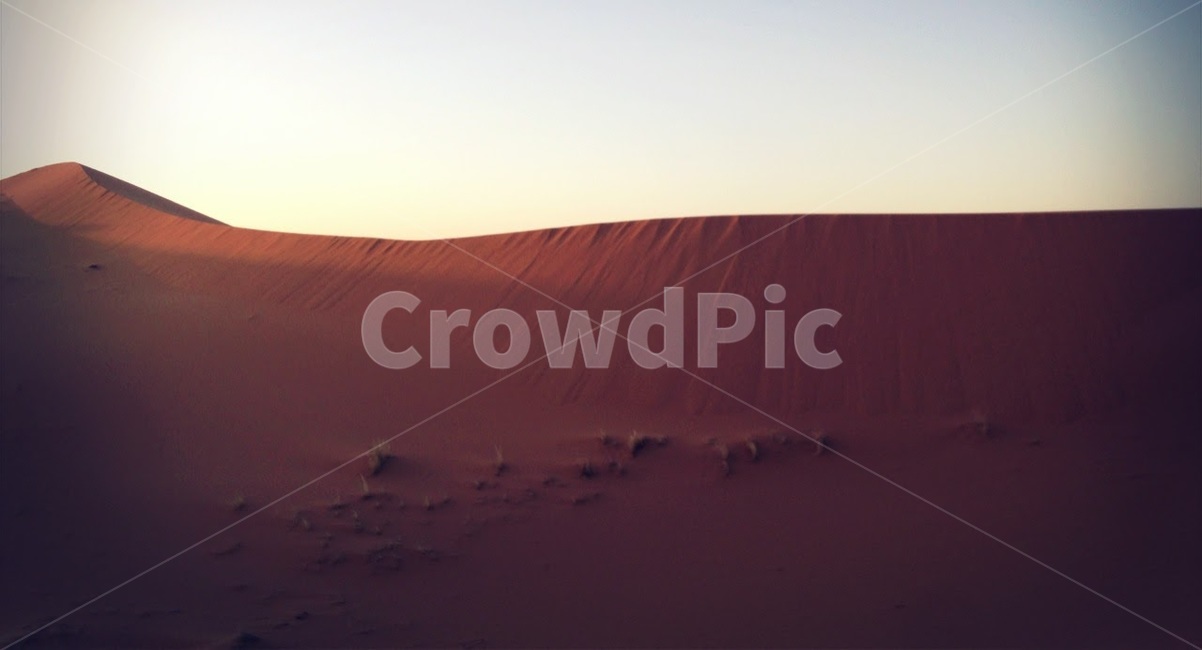 사막,사하라,풍경,여름,모로코,desert,sahara,morocco,summer,자연,풍경,nature,landscape,해외,외국,세계,foreign,oversea,world,세계자연풍경,해외자연풍경,외국자연풍경,world nature landscape,soil,흙,sand,모래,outdoors,옥외,dune,모래 언덕