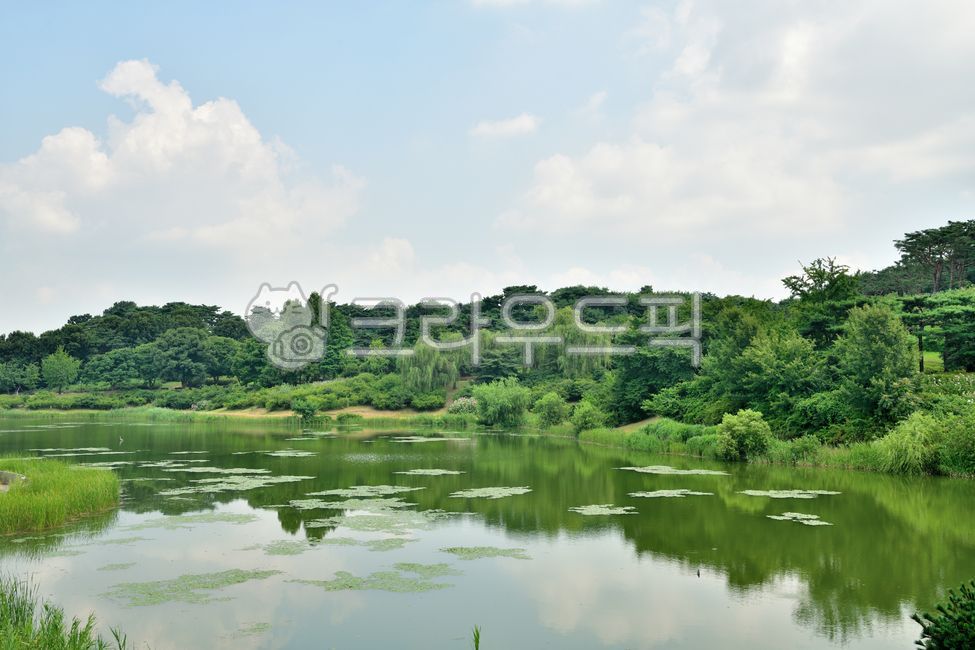 trees,cloud,healing,view,season,sky,natural,tree,picnic,water,field,outside,plant,lake,lawn,Sunny,Olympic Park,blue sky,pond,grass,Clear weather,park,rest,green,nature,clear,outdoor,blue,outdoors,refreshing,fresh,walk,landscape