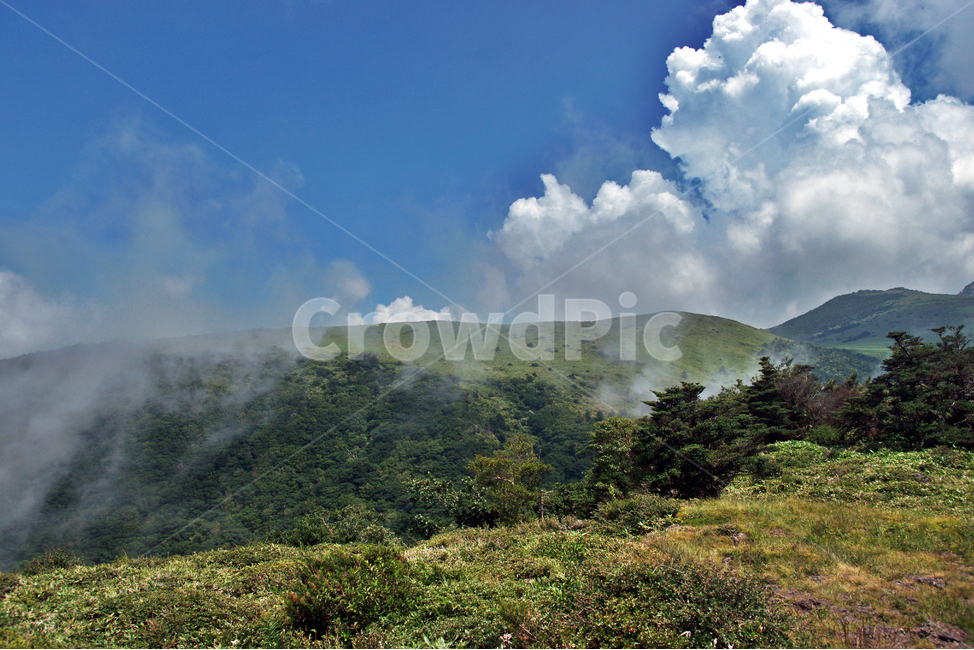 한라산,제주도,영산,어리목코스,만세동산,자연,구름,운무