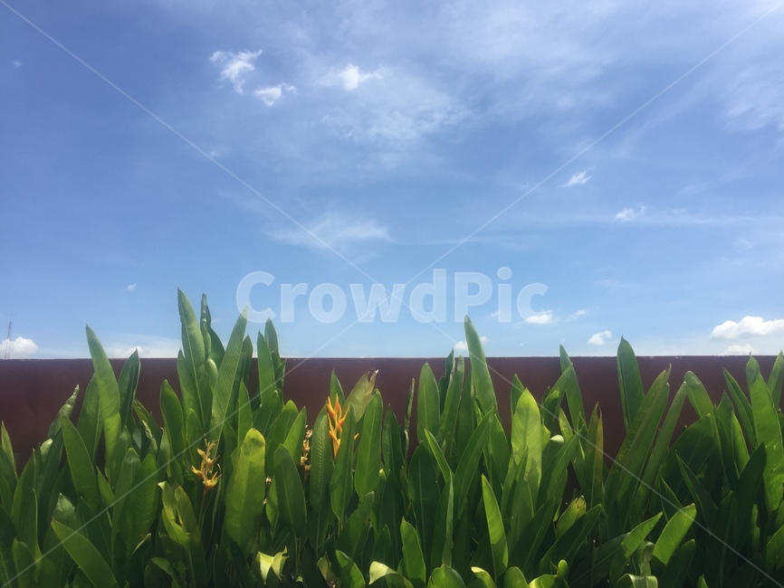 하늘,sky,blue,sunshine,감성사진