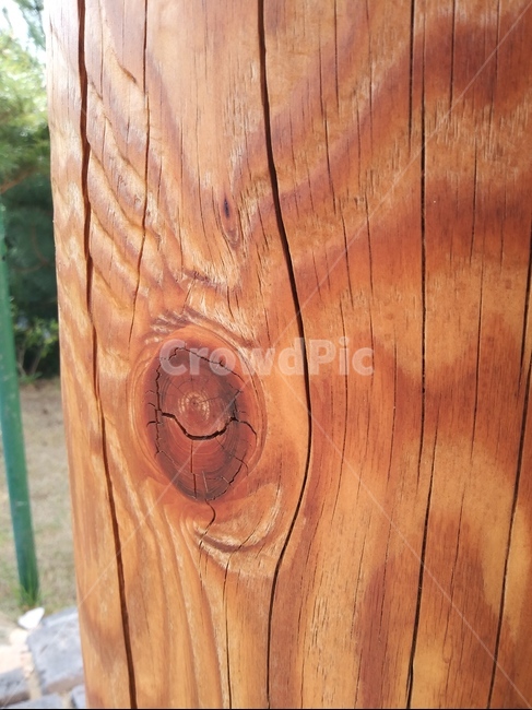 나무,나무골,나무갈라짐,갈라진나무,기둥,나무,trees,wood