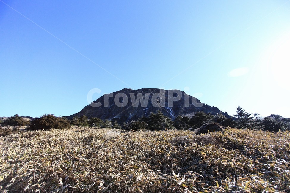 한라산,제주도,산,상고대,눈,눈꽃,겨울,snow,winter,나무,tree,백록담,자연,풍경,nature,landscape,outdoors,옥외,hill,언덕