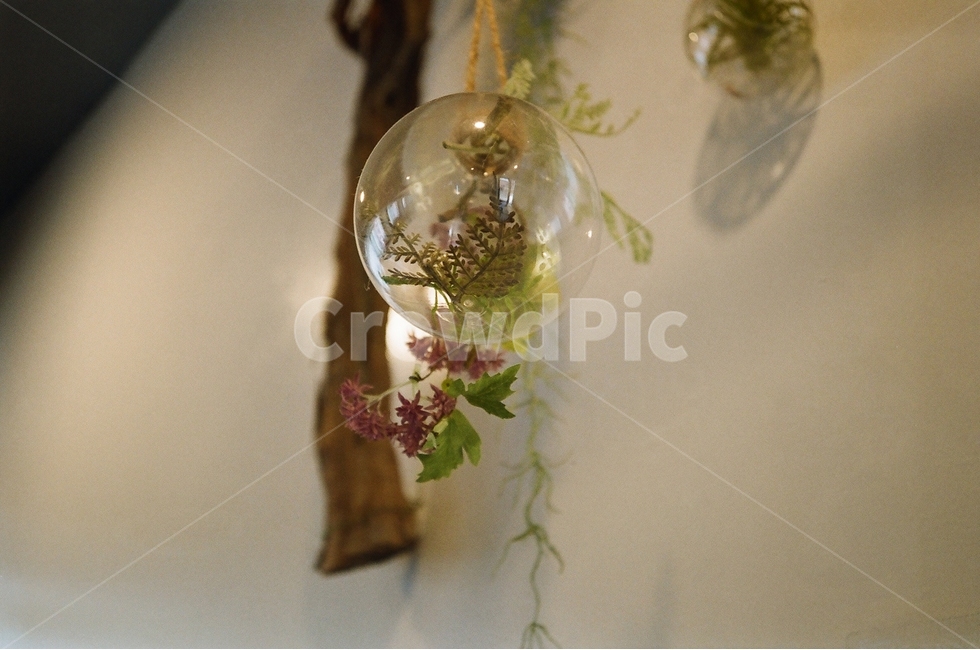아기자기,소품,전구,분위기,필름사진,인테리어,실내디자인,interior design,사물,물건,오브젝트,thing,object,matter