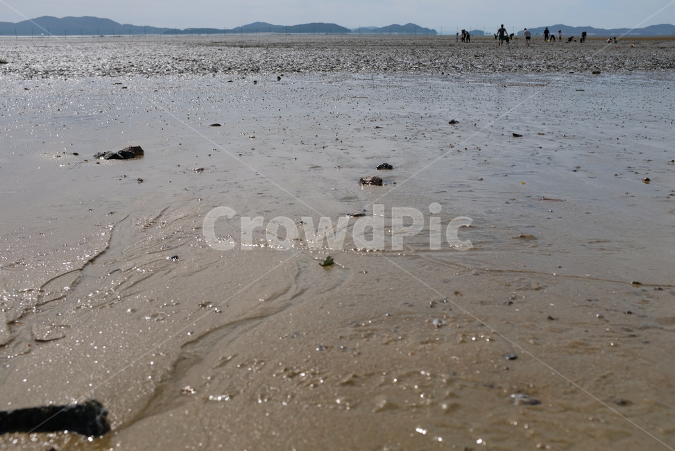바다,갯벌,자연,풍경,해변,모래,서해,beach,nature,landscape,sea,mud,sand,해변,바다,beach,sea,사람들,대중,군중,other people,crowd