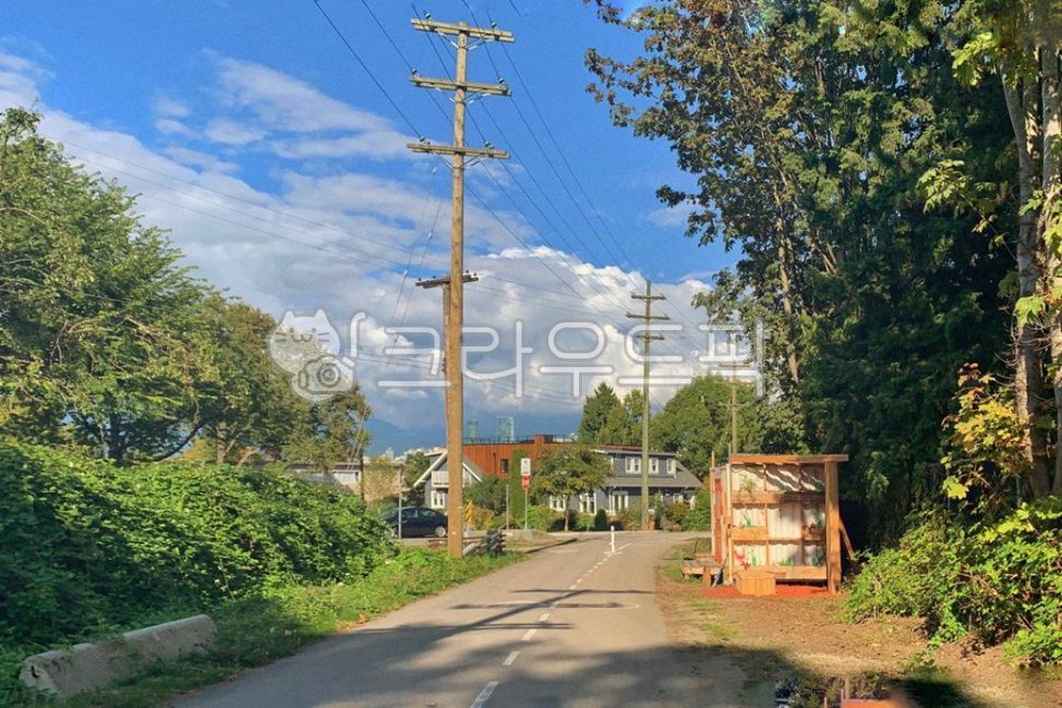 Overseas,nice weather,summer,sunny day,spring,Canada,path,sunlight,peace,road name,telephone pole,autumn,alley,sunny,country road