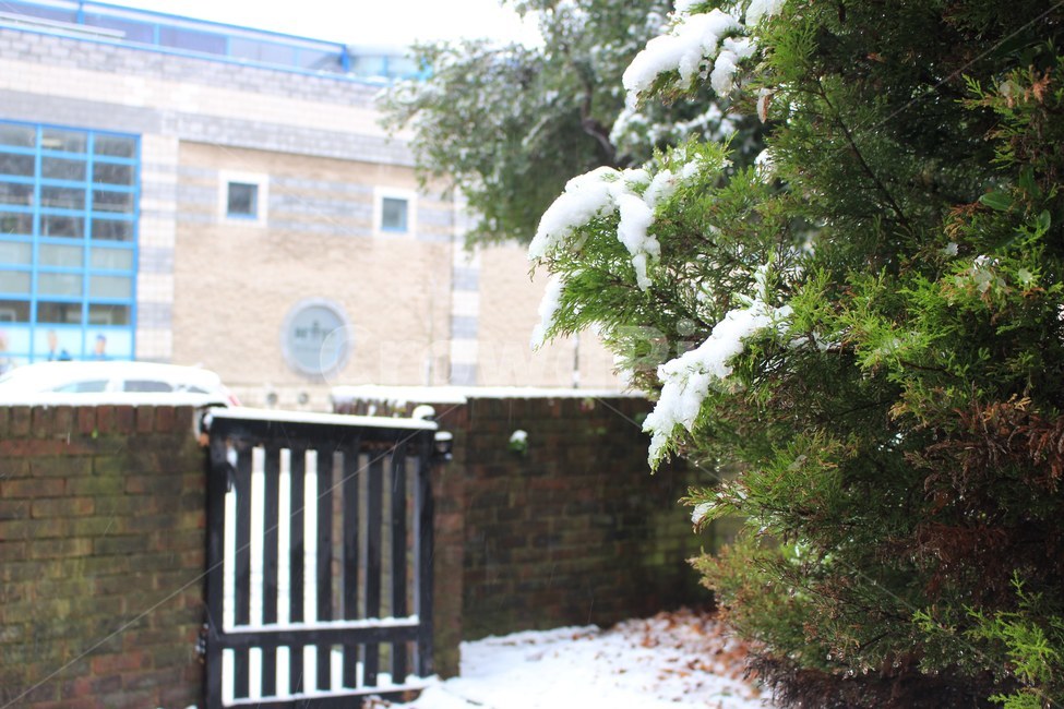 영국,런던,england,uk,겨울,영국겨울,winter,풍경,snow,눈,눈오는날,pub,소나무