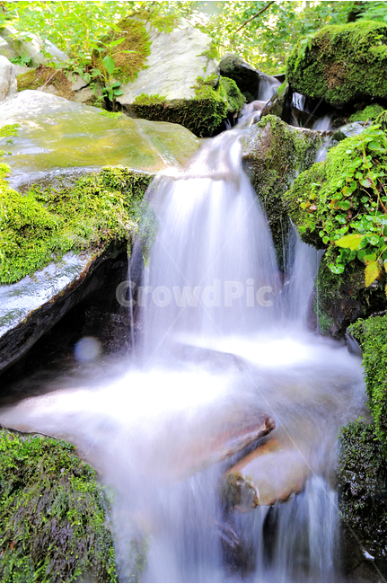 계곡,폭포,이끼,이끼계곡,강원도,자연,풍경,cool,flow,forest,korea,korean,koreannature,landscape,moss,mossy,motion,mountain,nature,rock,scenery,stone,valley,water,waterflow,waterflowing,waterfall,물흐름,물의흐름,자연,풍경,nature,landscape,river,강,물,outdoors,옥외