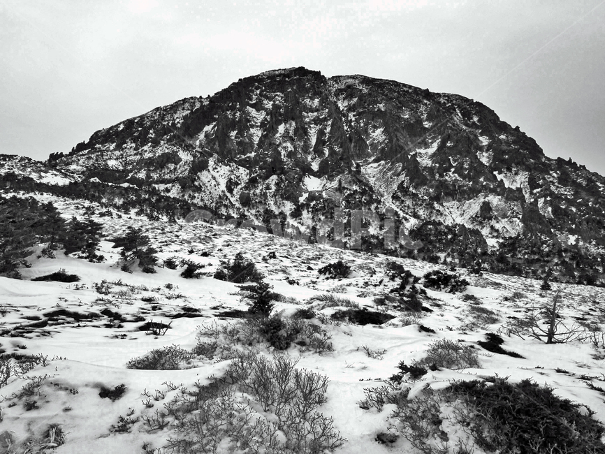 어리목,제주도,한라산,겨울산,겨울,설경,설화,눈,백록담,흑백,겨울,계절,winter,season,자연,풍경,nature,landscape,outdoors,옥외,mountain,산,mountain range,산맥