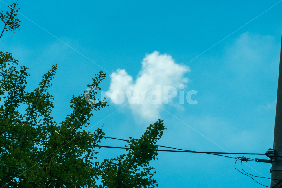 구름,하늘,자연,풍경,nature,하트,하트구름,cloud,감성사진,landscape,daily,sky