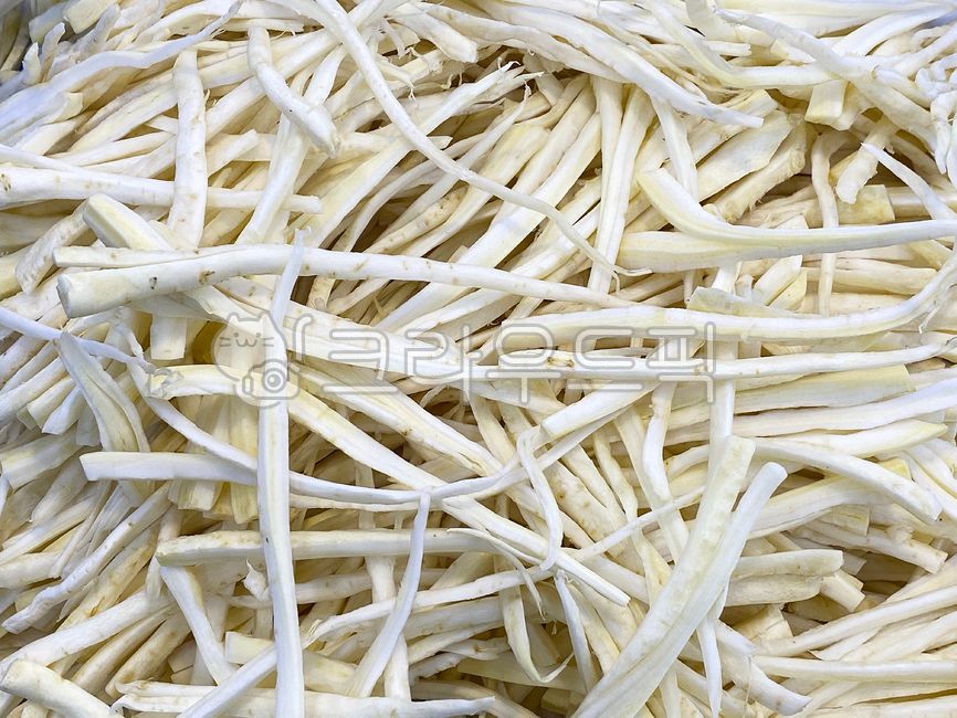 도라지,뿌리,식물,식재료,음식,야채,채소,흰색,요리,반찬,조리,농산물,맛있는,단단한,나물,bellflower,root,plant,ingredients,food,vegetable,white,cuisine,sidedish,cooking,produce,delicious,hard,herb