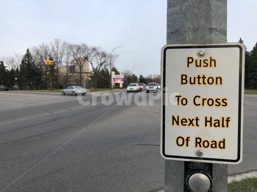 캐나다,표지판,영어표지판,횡단보도,4차로,sign,notice,canada,crosswalk,차