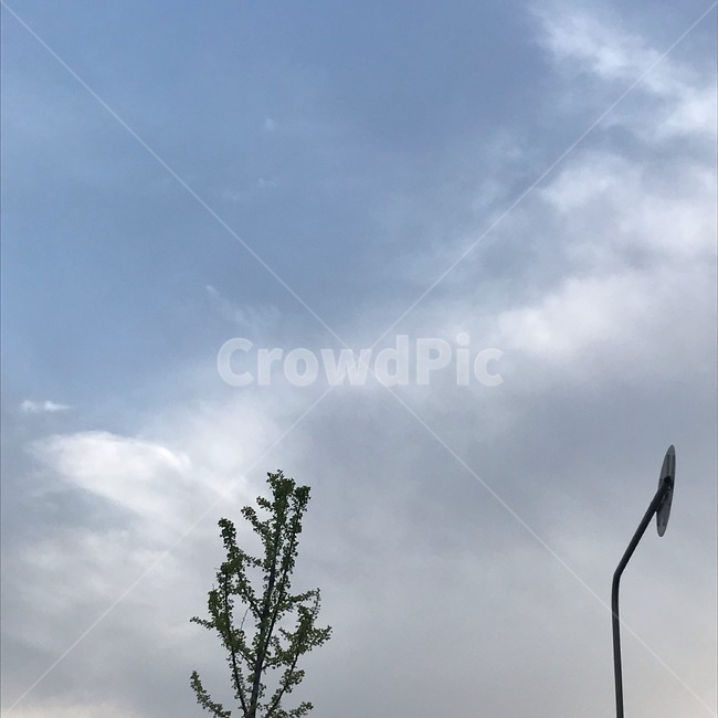 구름,하늘,sky,cloud,자연,nature,옥외,outdoors,tree,나무