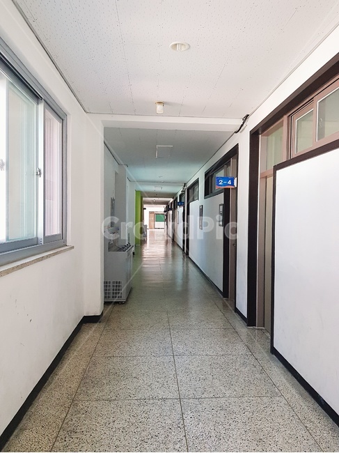 학교,복도,추억,학생,식수대