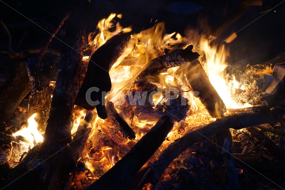 장작불,캠핑,따뜻한,겨울,장작,firewood,woodfire,camping,warm,winter