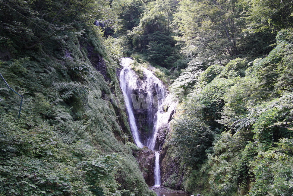 봉래폭포,울릉도,힐링,자연,숲,자연,풍경,nature,landscape,river,강,water,물,outdoors,옥외,waterfall,폭포