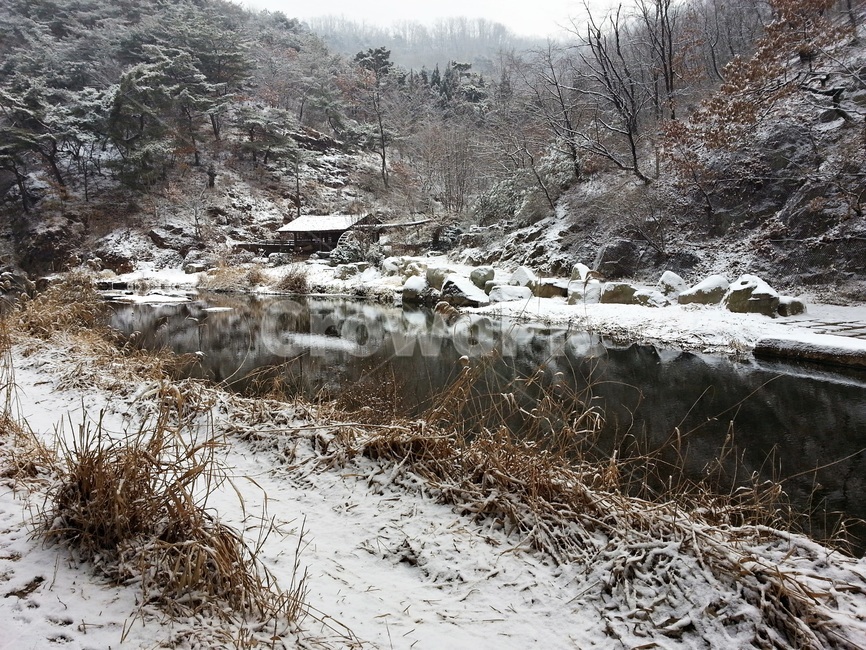 눈,겨울,흰,계절,풍경,하천,너와집,물레방아,갈대,홍제천,서대문구,winter,감성,기분,feeling,watermill,snow,자연,지붕,숲,나무,겨울,계절,winter,season,자연,풍경,nature,landscape,outdoors,옥외,water,물,land,땅
