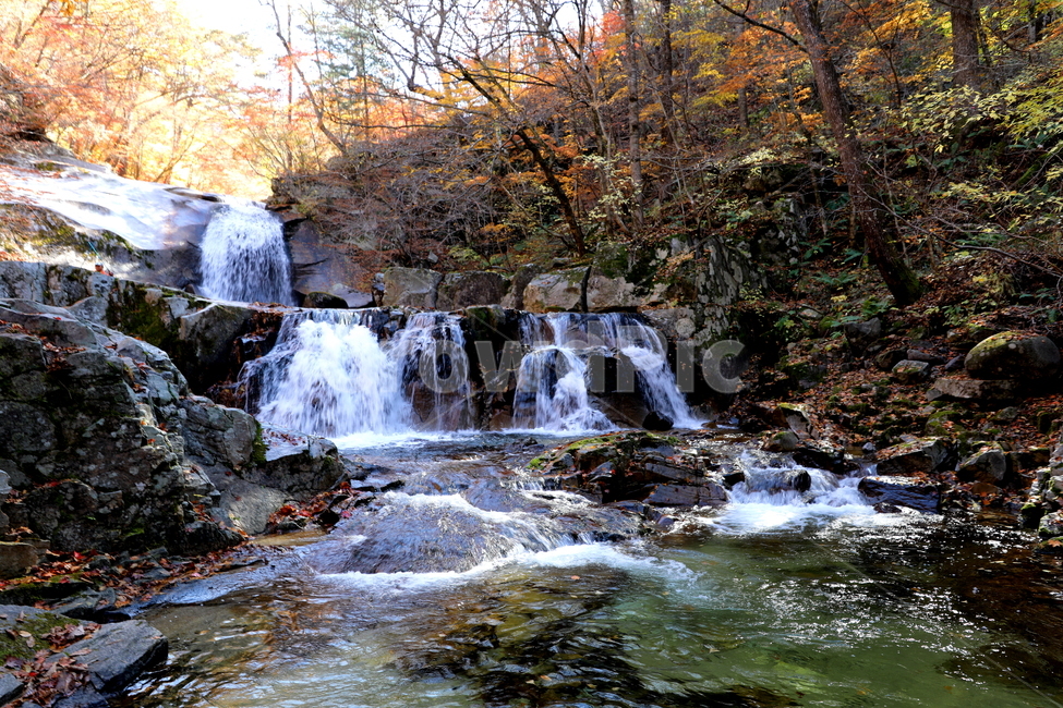 풍경,가을,계절,물,나무,가을,계절,fall,autumn,season,water,nature,자연,outdoors,옥외,river,강,waterfall,폭포