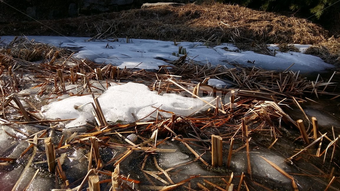 3월,봄,계곡,살얼음,꽃샘추위,겨울,계절,winter,season