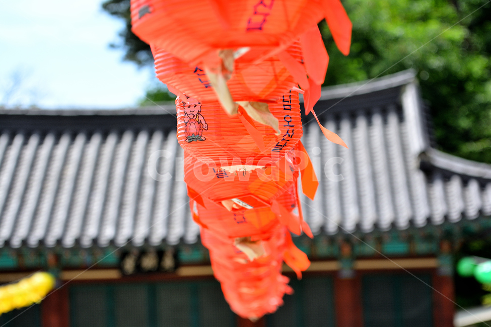절,붉은,등,화등,부처님오신날,석가탄신일,풍등,빨간,빨강,축제,기도,기원,바람,바램,종교,신앙,religion,belief,faith,축제,행사,festival,carnival,event