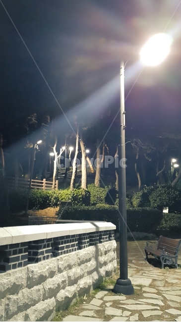 가로등,길,나무,담장,빛
