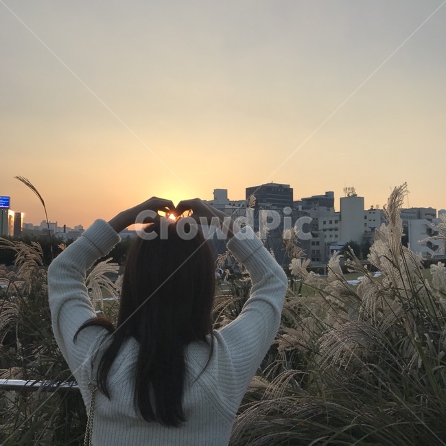 갈대밭,노을,뒷모습,flare,해질녘