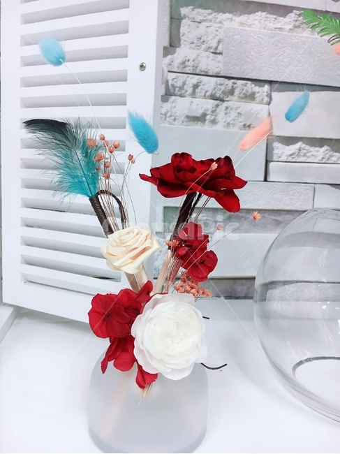 식물,꽃,flower,blossom,plant