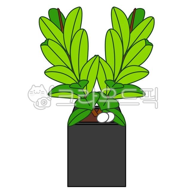 rubbertrees,tree,ai,pottedplants,rubber tree,leaf,indoor plants,trees,pot,leaves,plants,plant,design,illustration,indoorplants