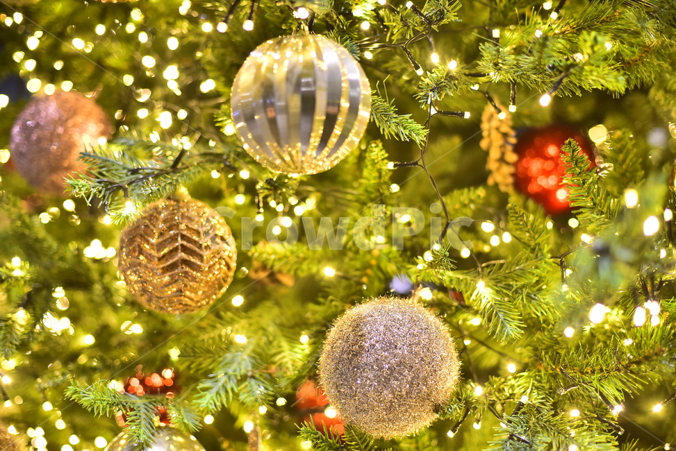 atmosphere,splendor,flare,Christmas,golden yellow,Christmas ball,christmas tree,fairy lights,decorations,christmastree,gold,reflect,ornament,golden,decoration,bokeh of light,Christmas tree,Yearend decoration,xmas,Churi,tree,lighting,christmas,light,backgr