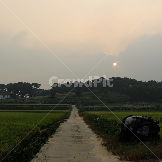 시골,논,논길,시골사진,해질녘,시골,마을,풍경,landscape,country,rural,town