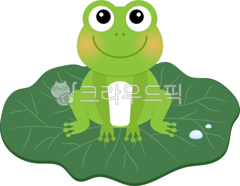 png,그래픽,일러스트,개구리,미소,귀여운,파충류,연잎,잎,물방울,frog,green,녹색,경칩,봄,spring