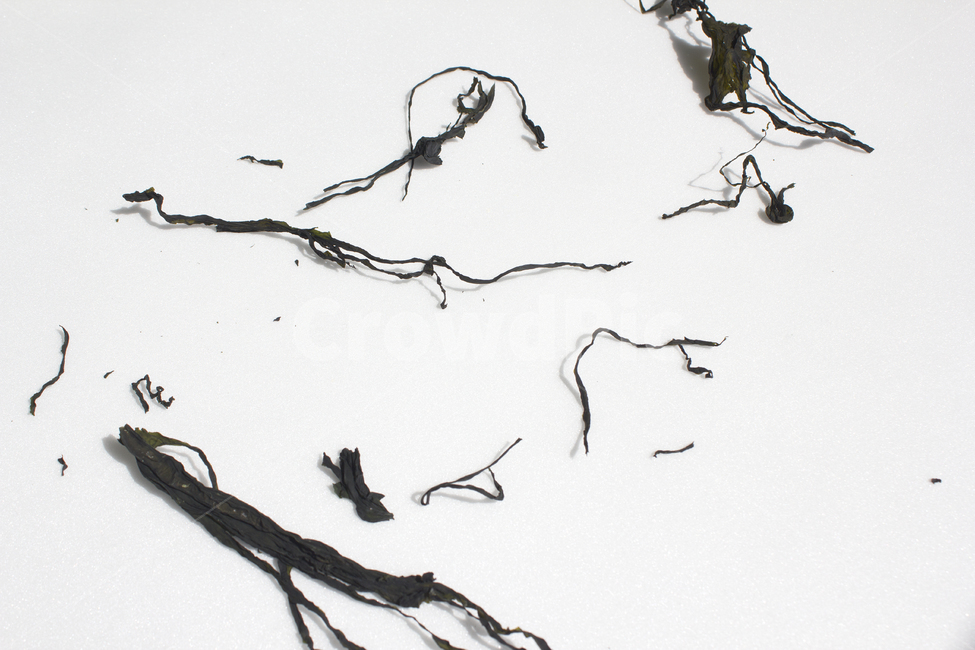 미역,말린,마른,흰배경,블랙,검정,어두운,해조류,식물,음식,식재료,재료,건조,식품,건조식품,한식,음식재료,건강식품,클로즈업
