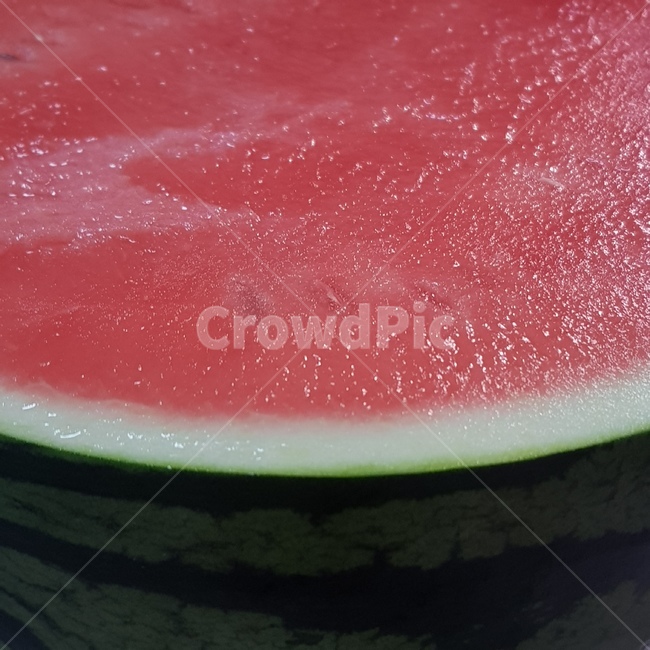 수박,watermelon,fruit,과일,food,과일,열매,fruit