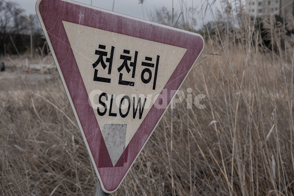 천천히,황무지,표지판,slow,폐허