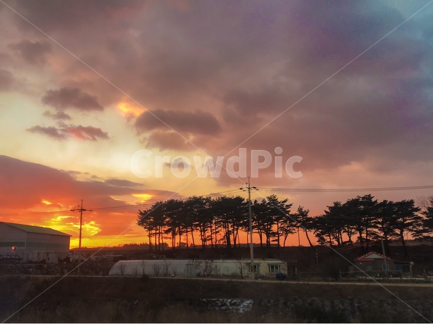 노을,하늘,붉은구름,저녁노을,소나무,시골,마을,풍경,landscape,country,rural,town