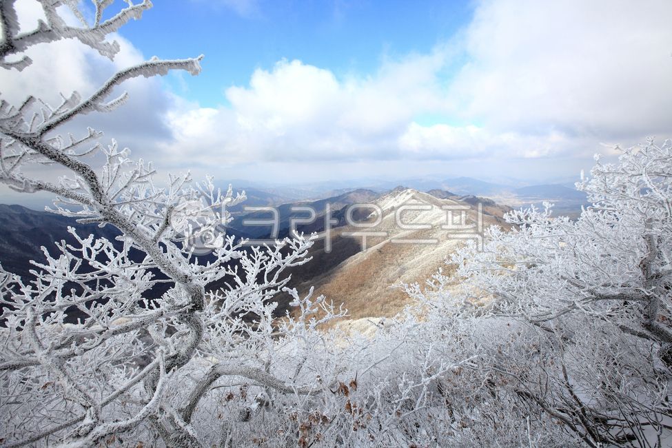 설경, snow, winter, nature, 자연, 사진,이미지,일러스트,캘리그라피 - fresh air작가