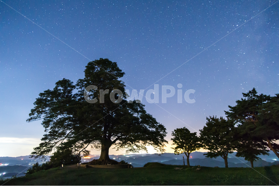 부여,사랑나무,성흥산성,부여야경,부여관광지,nightview,야경,landscape,별,자연,풍경,nature,landscape,한국자연풍경,한국자연경관,korea nature landscape,야경,밤,nightscape,night,outdoors,옥외