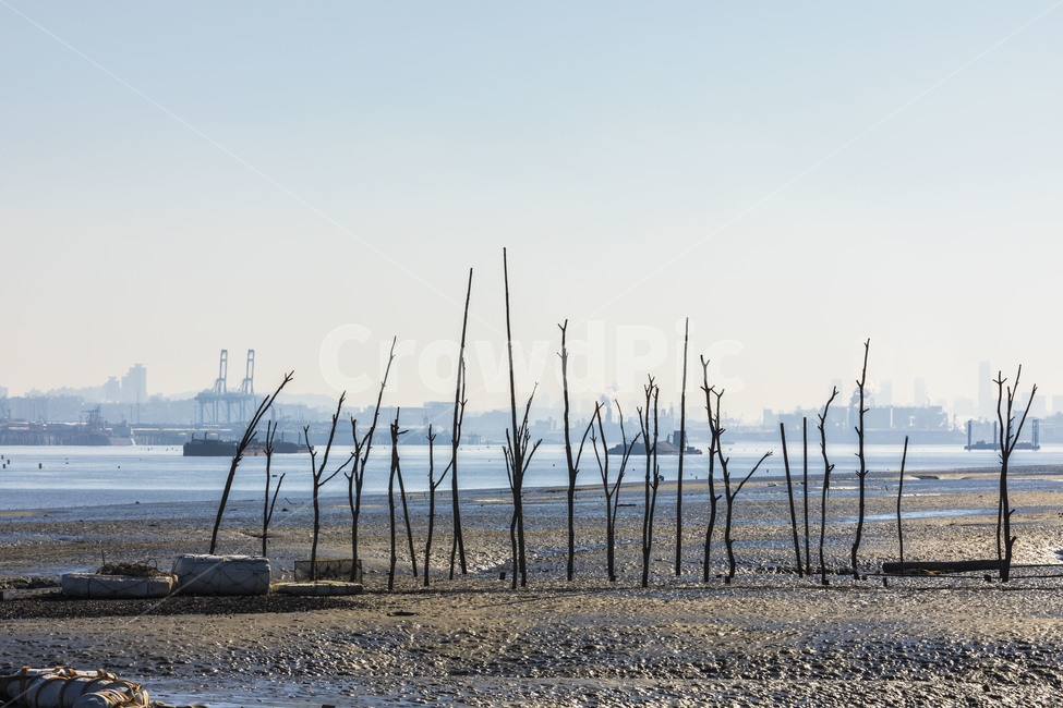 어구,갯벌,바닷가,영종도,풍경,환경,자연,풍경,nature,landscape,해변,바다,beach,sea