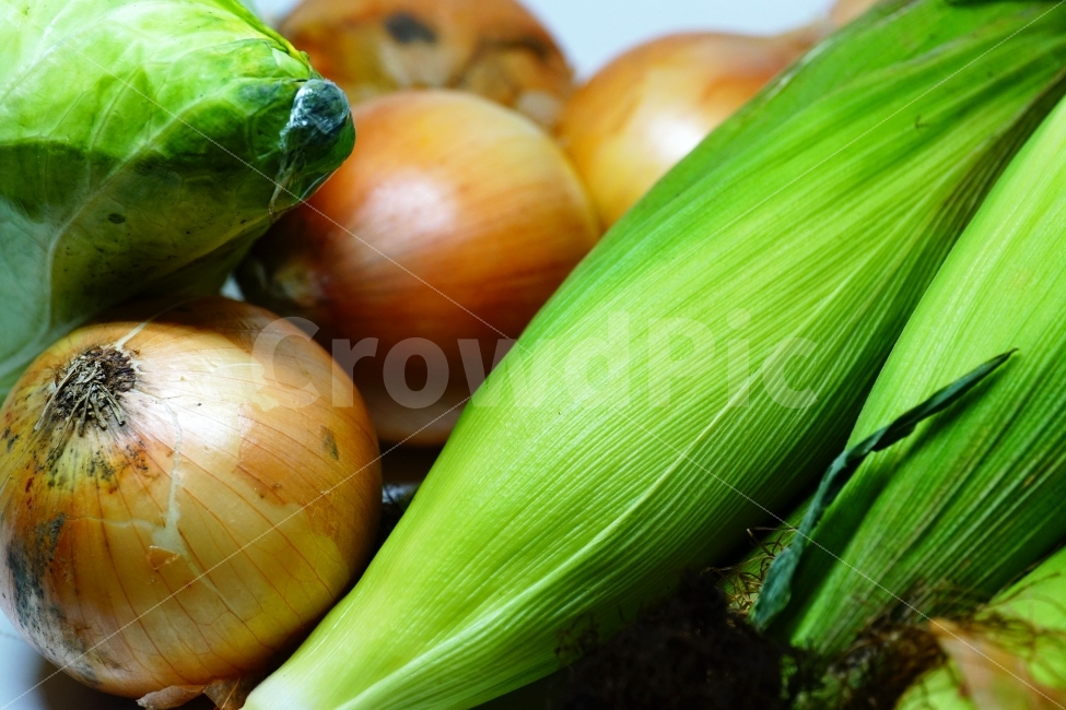 연출,연출사진,농작물,농산물,과일,열매,채소,야채,조리,식재료,식자재,vegetable,음식,반찬,요리,쿡,cook,식물성,fruit,디저트,dessert,meal,dish,dishes,food,신선한,신선하다,신선함,신선도,싱싱함,싱싱하다,양파,다마네기,옥수수,콘,corn,양배추,사물,물건,오브젝트,object,식품,식료품,컨셉,콘셉,concept,eat,먹거리,먹을거리,recipe,음식,식재료,요리,food,cook,meal,dishes,food reserves,채소,야채,vegetables,연출,컨셉,콘셉,direction,concept