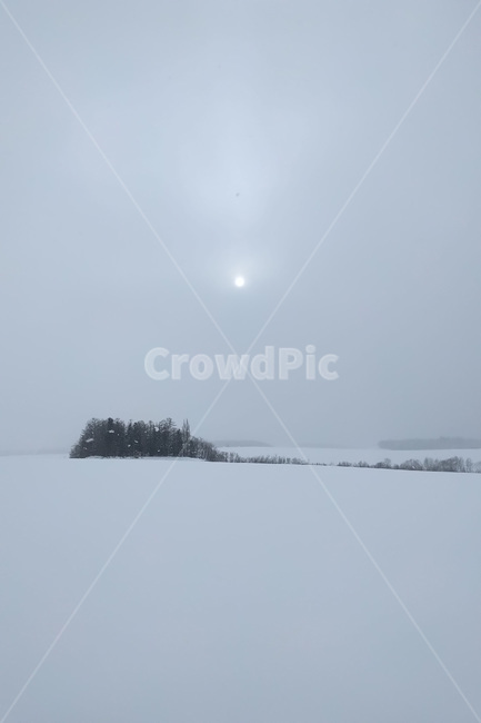 겨울,winter,눈,snow,자연,nature