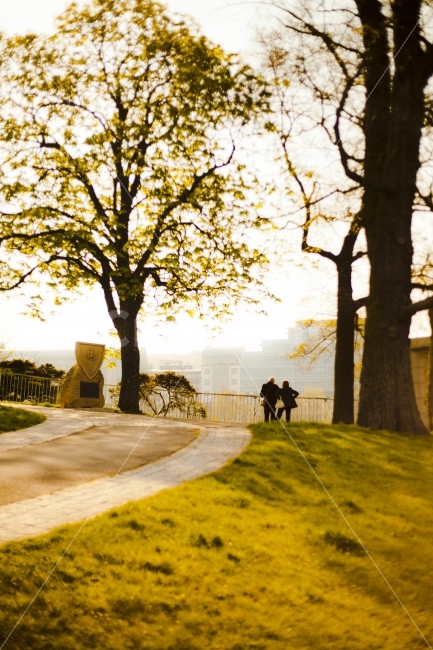 유럽,룩셈부르크,봄,부부,커플,도시,풍경,city,landscape,해외,외국,세계,foreign,oversea,world,tree,나무,plant,식물,grass,잔디,tree trunk,나무 줄기