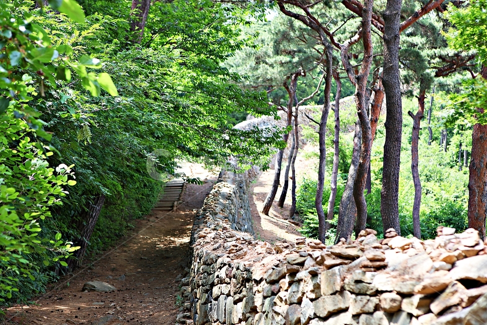 전등사,성곽,돌담,전등사둘레길,길,풍경