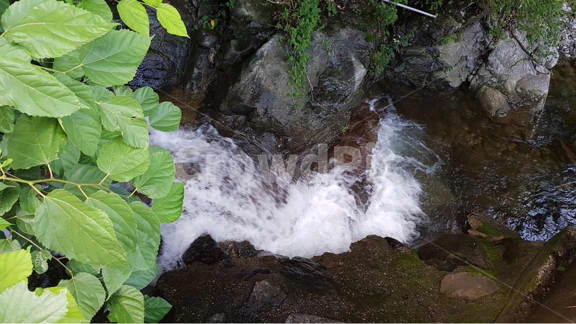 자연,숲,계곡,시냇물,냇가,여름,계절,summer,season,자연,풍경,nature,landscape,water,물,river,강,outdoors,옥외