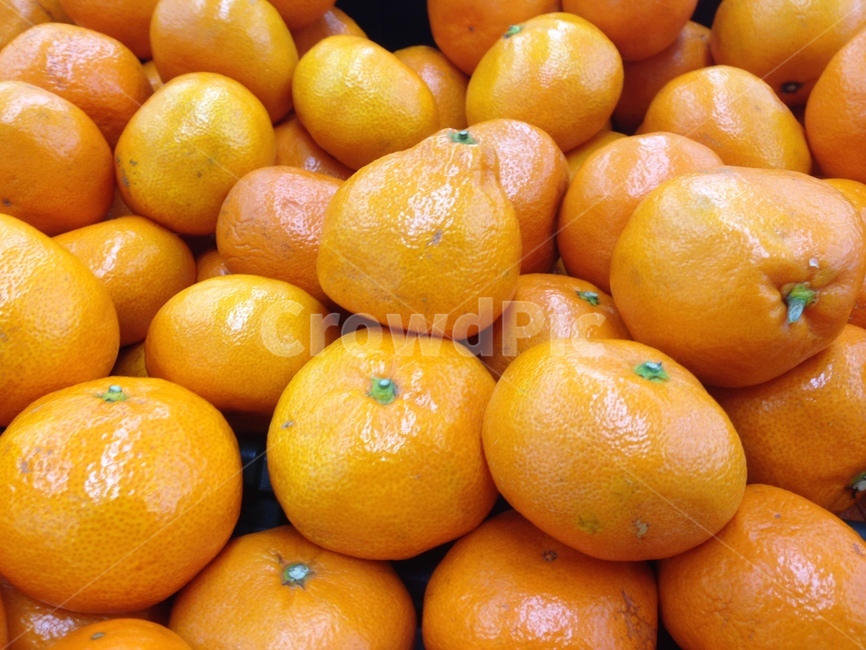 food,음식,fruit,과일,감귤류과일,귤