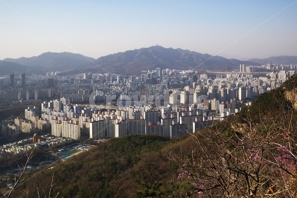 모락산,의왕시,경기도,안양시,평촌,도심풍경,건물