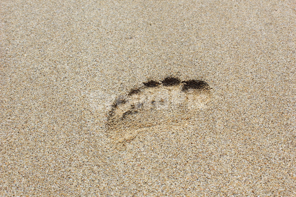 모래,바다,해수욕장,발자국,제주,풍경,해변,바다,beach,sea